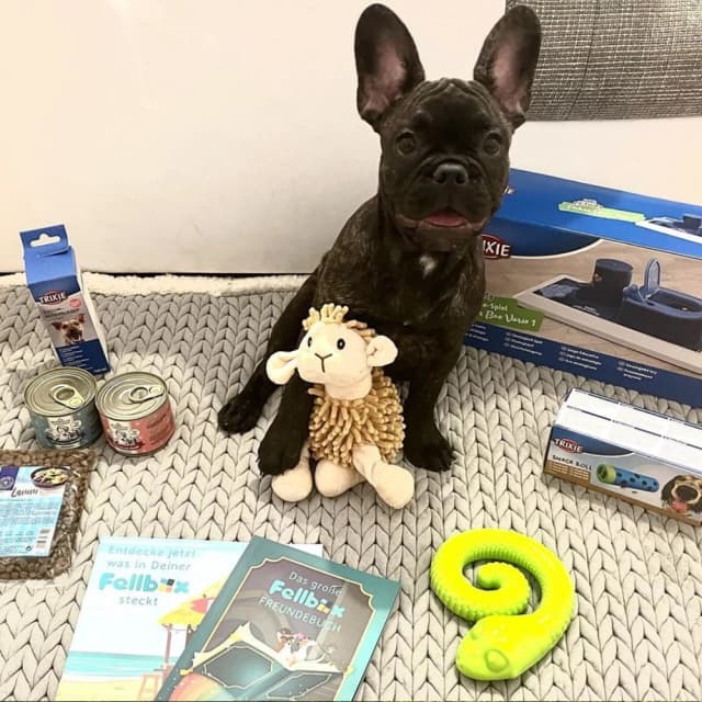 Dog image
