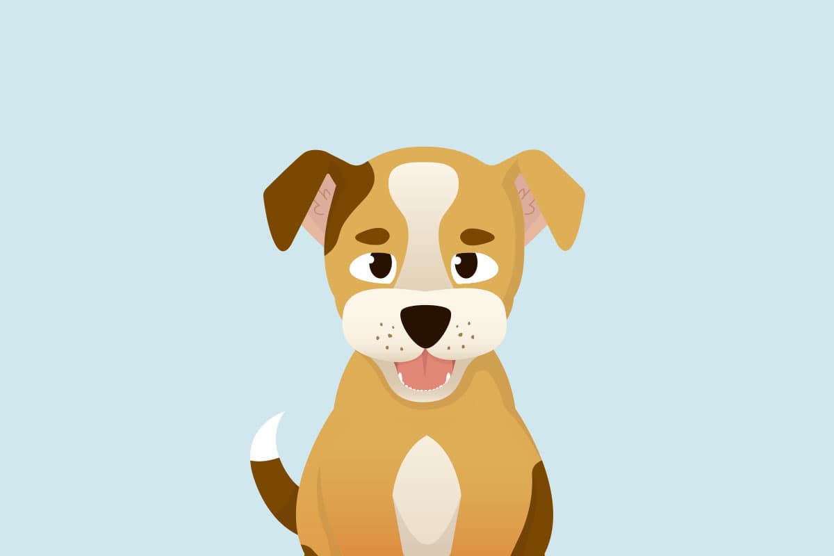 Dog Image