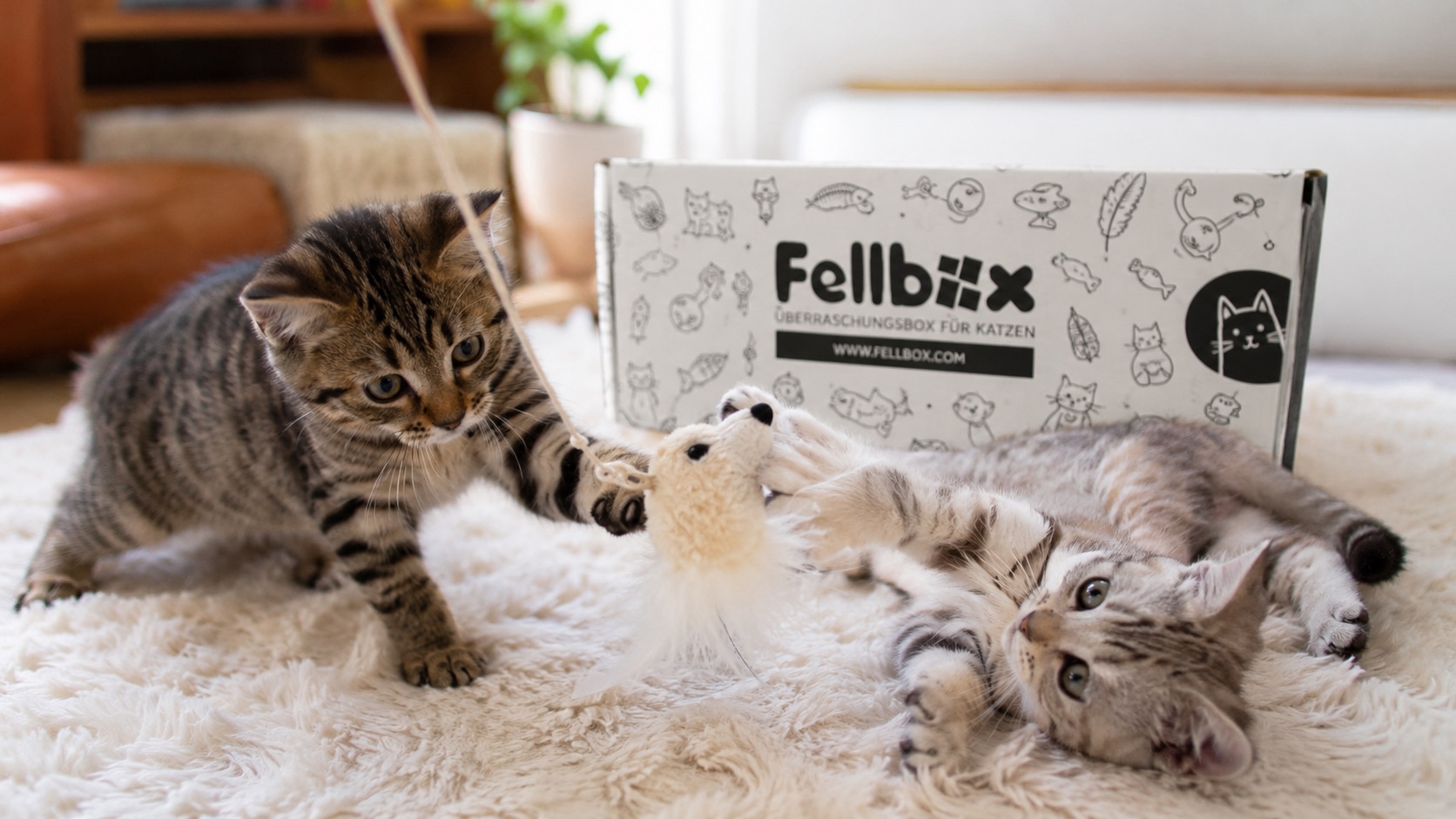 Zwei Kätzchen spielen mit einem Fellbox Katzenspielzeug